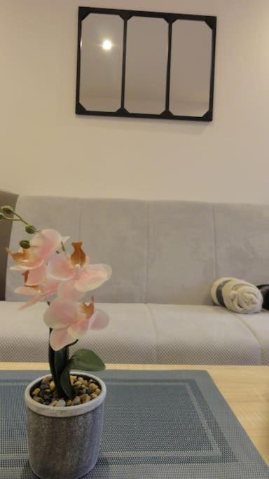 Ferienwohnung Le Belvedere Dernier Etage Avec Terrasse Wifi Fibre Tarbes Exterior foto